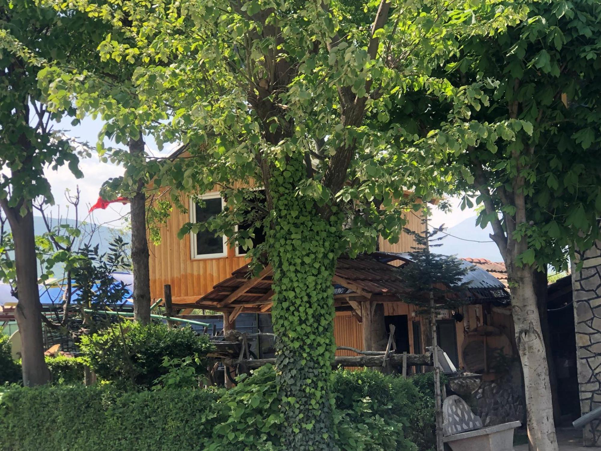 Bujtina Gashi Guest House Kukes Exteriér fotografie