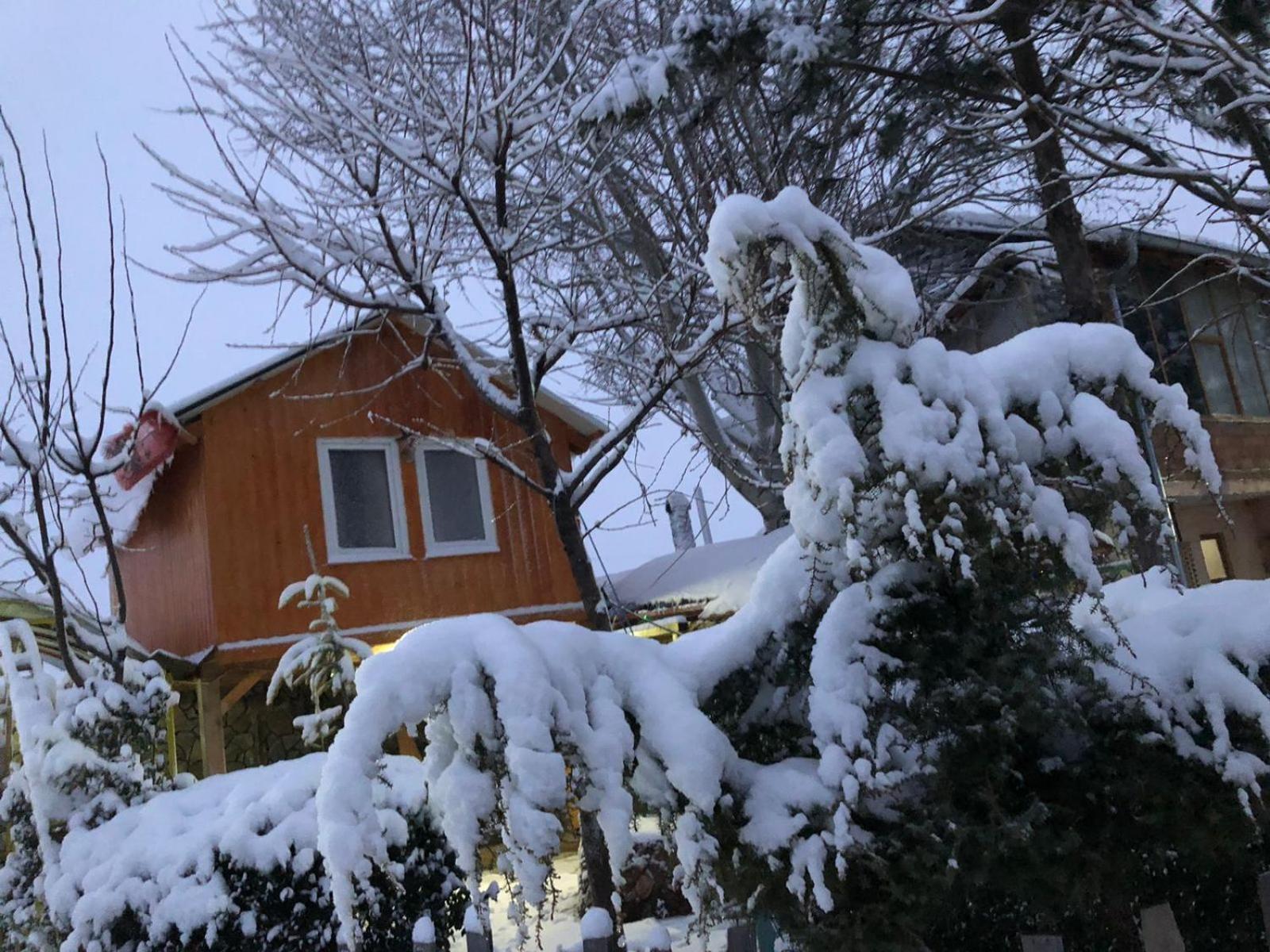 Bujtina Gashi Guest House Kukes Exteriér fotografie